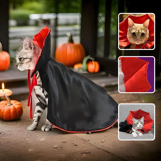 Costume pour chat | Vampire - Paw Chat