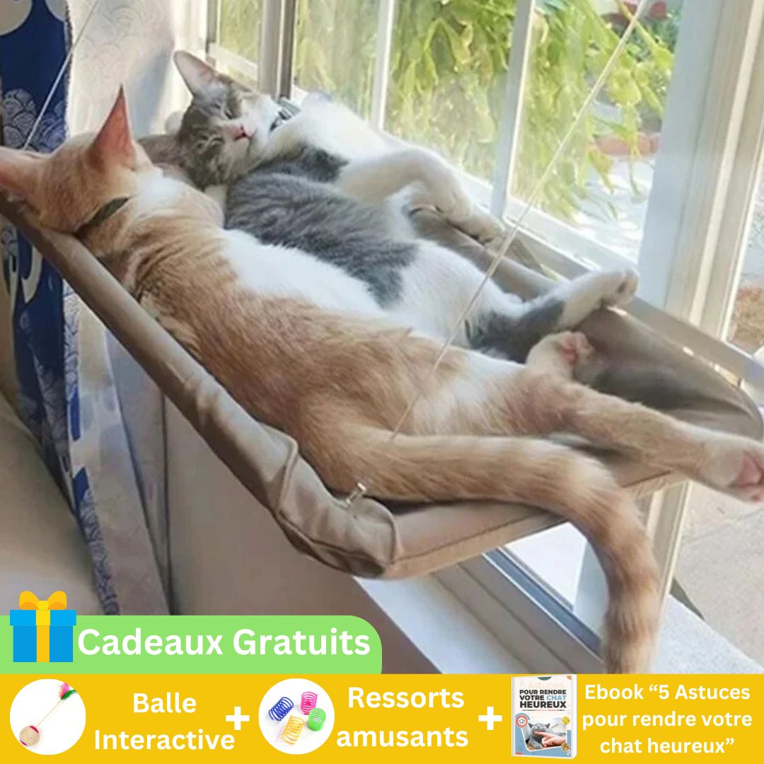 Hamac pour chat | CozyNapper™ - Paw Chat