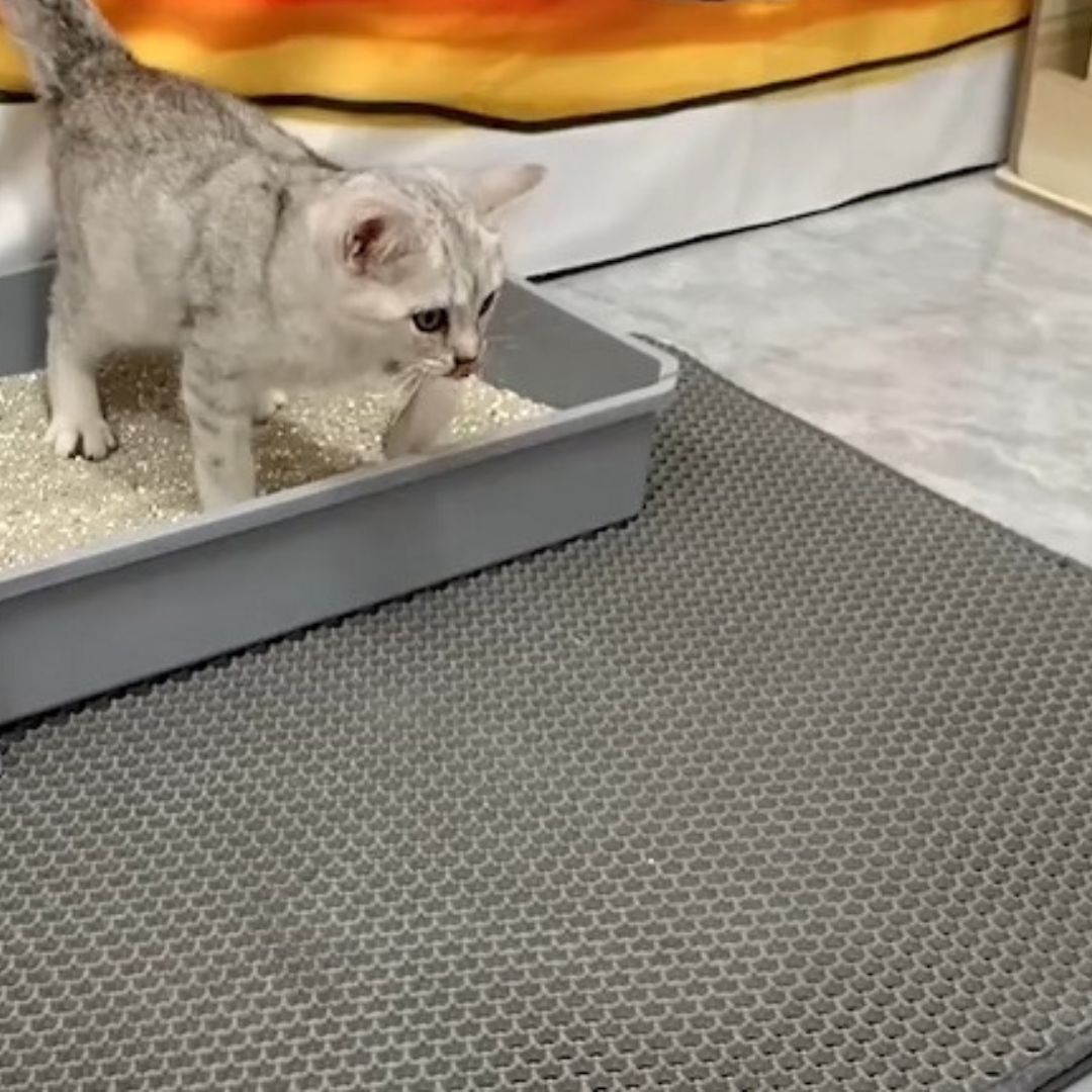 Tapis-litière-pour-chat-gris-Paw-Chat