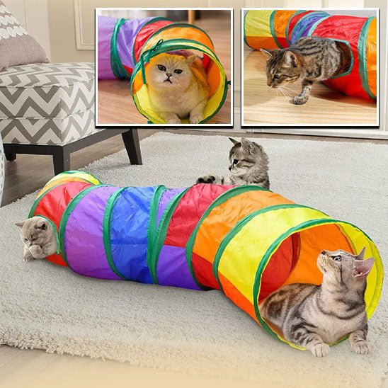 Tunnel pour chat | TunnelChat - Paw Chat