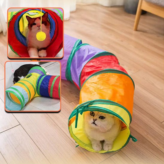 Tunnel pour chat | TunnelChat - Paw Chat